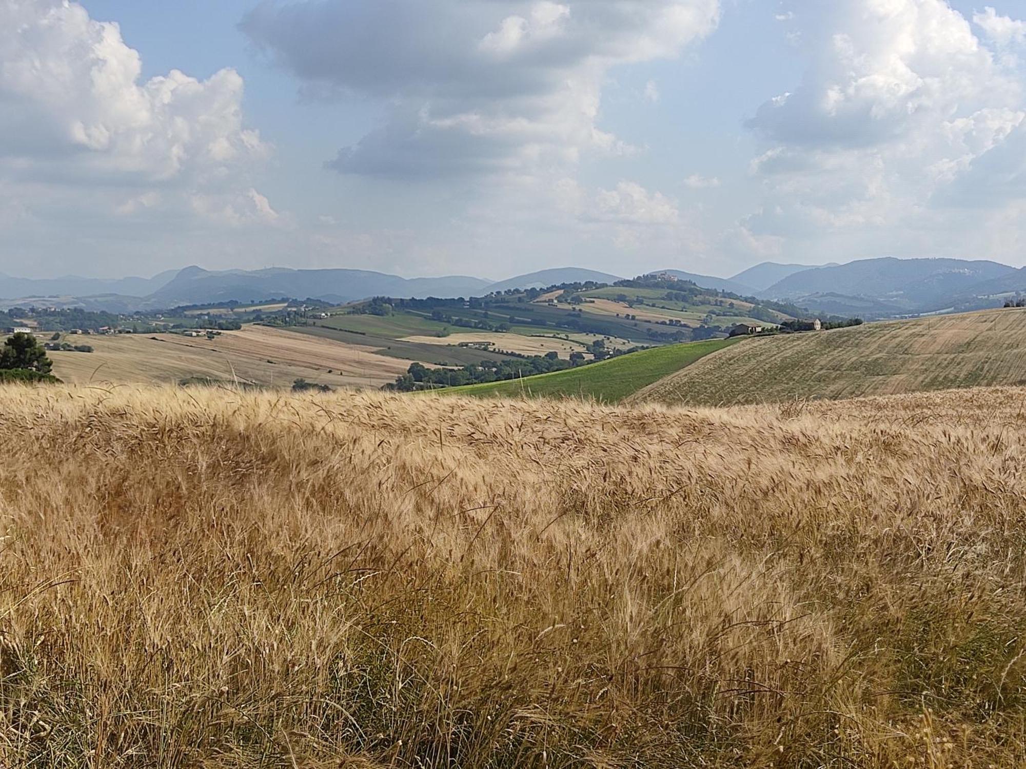 Castelleone di SuasaCasa Borgo Fonte别墅 外观 照片