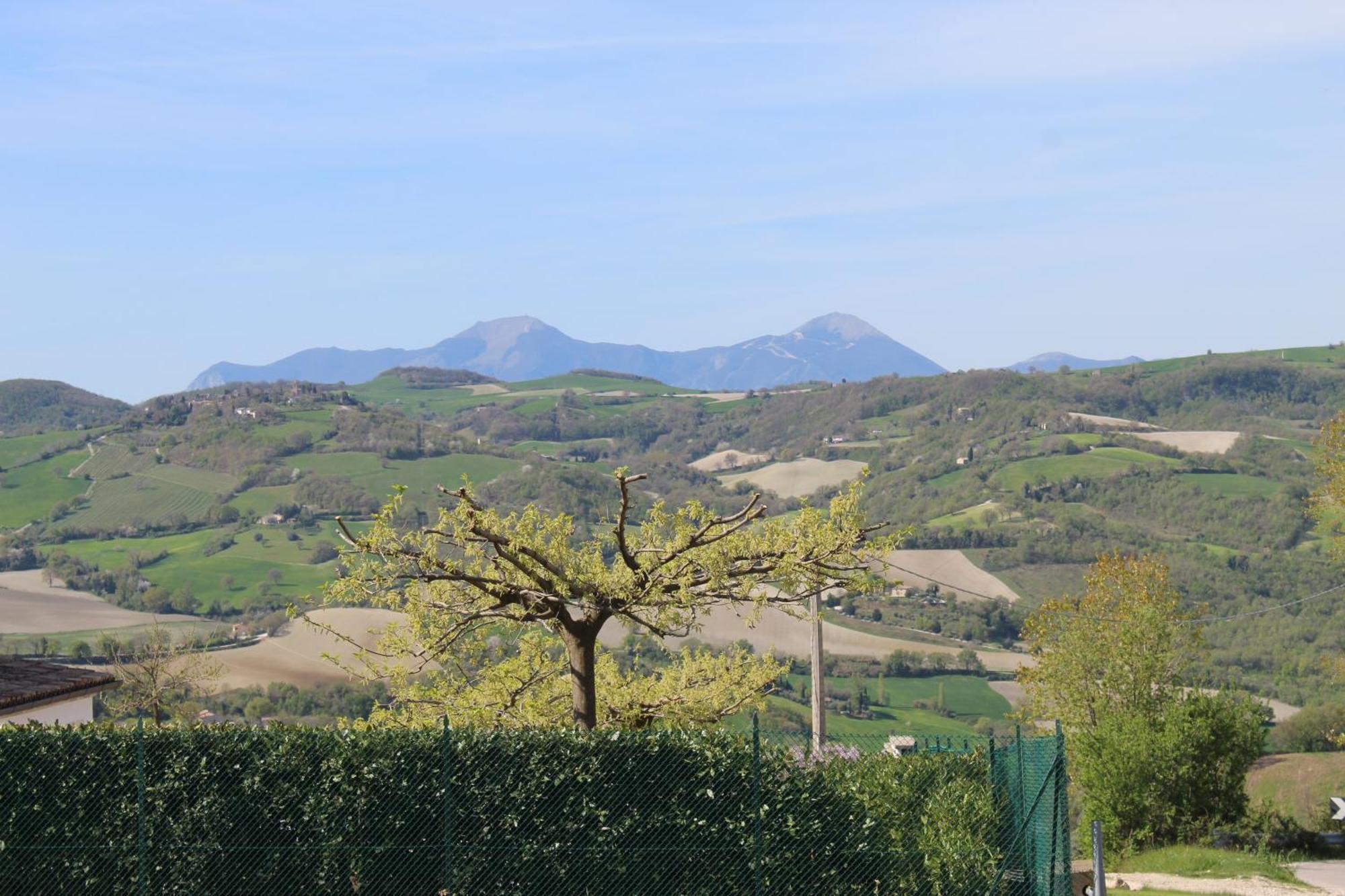 Castelleone di SuasaCasa Borgo Fonte别墅 外观 照片