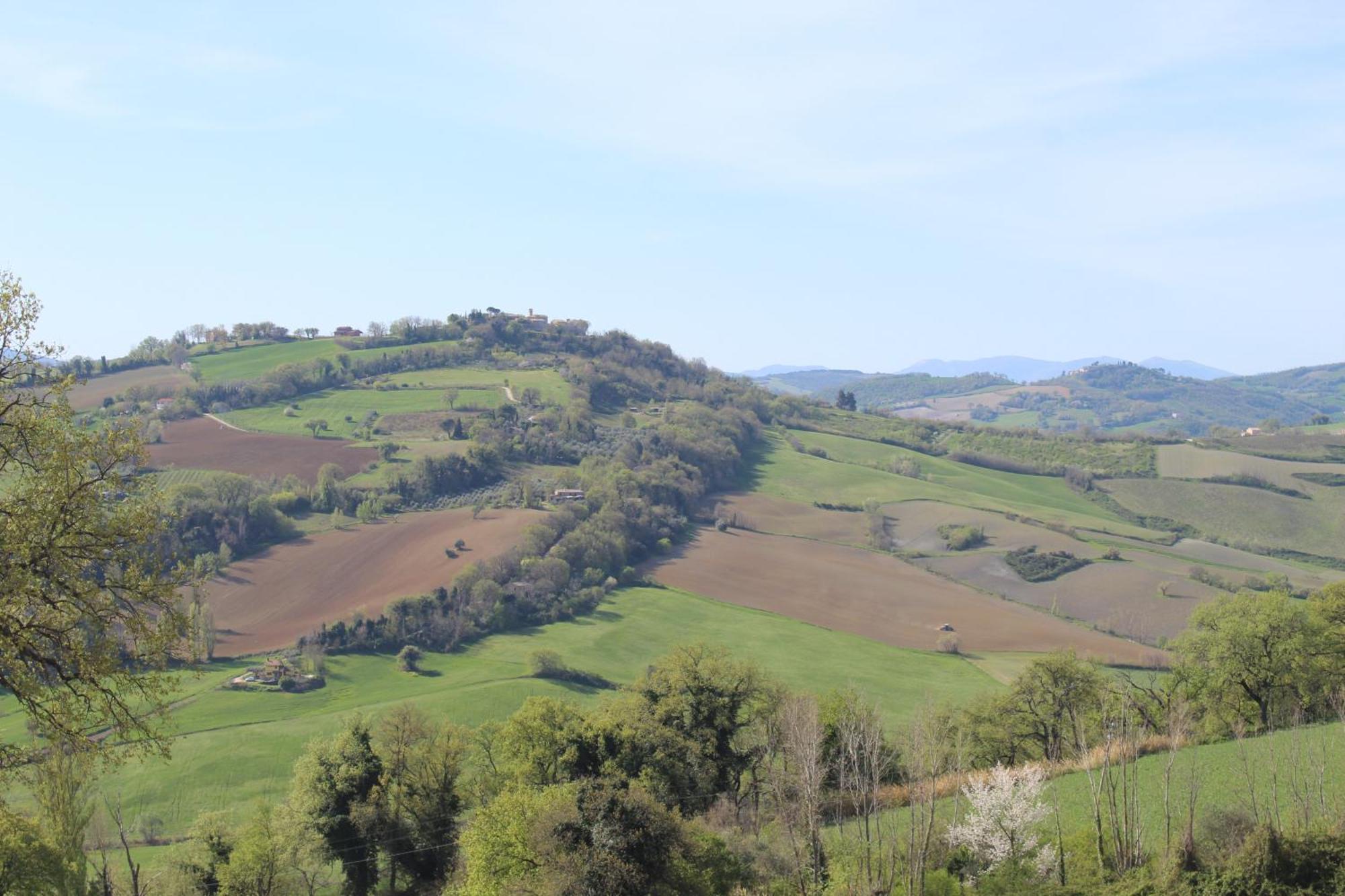 Castelleone di SuasaCasa Borgo Fonte别墅 外观 照片