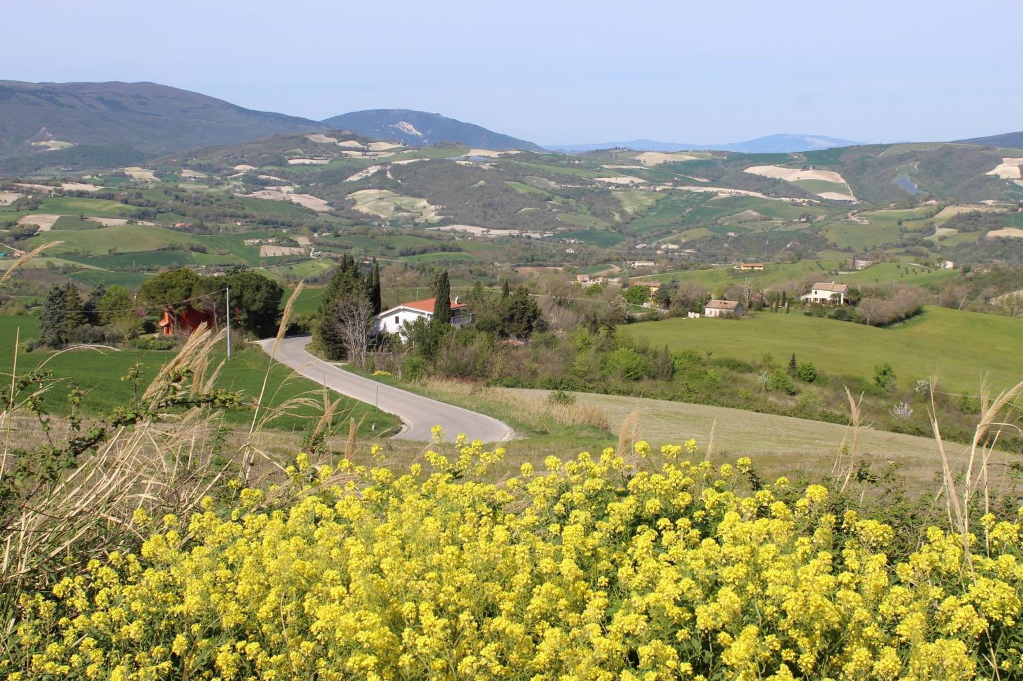 Castelleone di SuasaCasa Borgo Fonte别墅 外观 照片